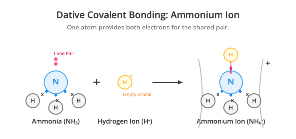 Dative covalent bonding - ammonium ion