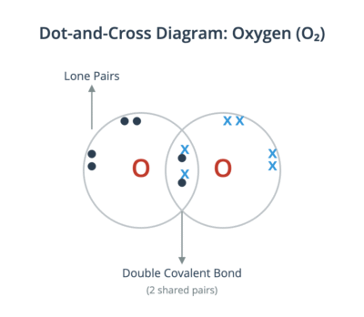 dot and cross structure of O2